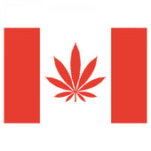 Silicone Mats & Jars