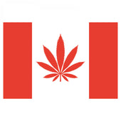 MY DAB MAT Canada Leaf