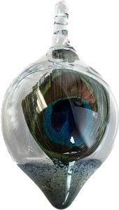 Clear glass orb with a peacock Feather in it. 