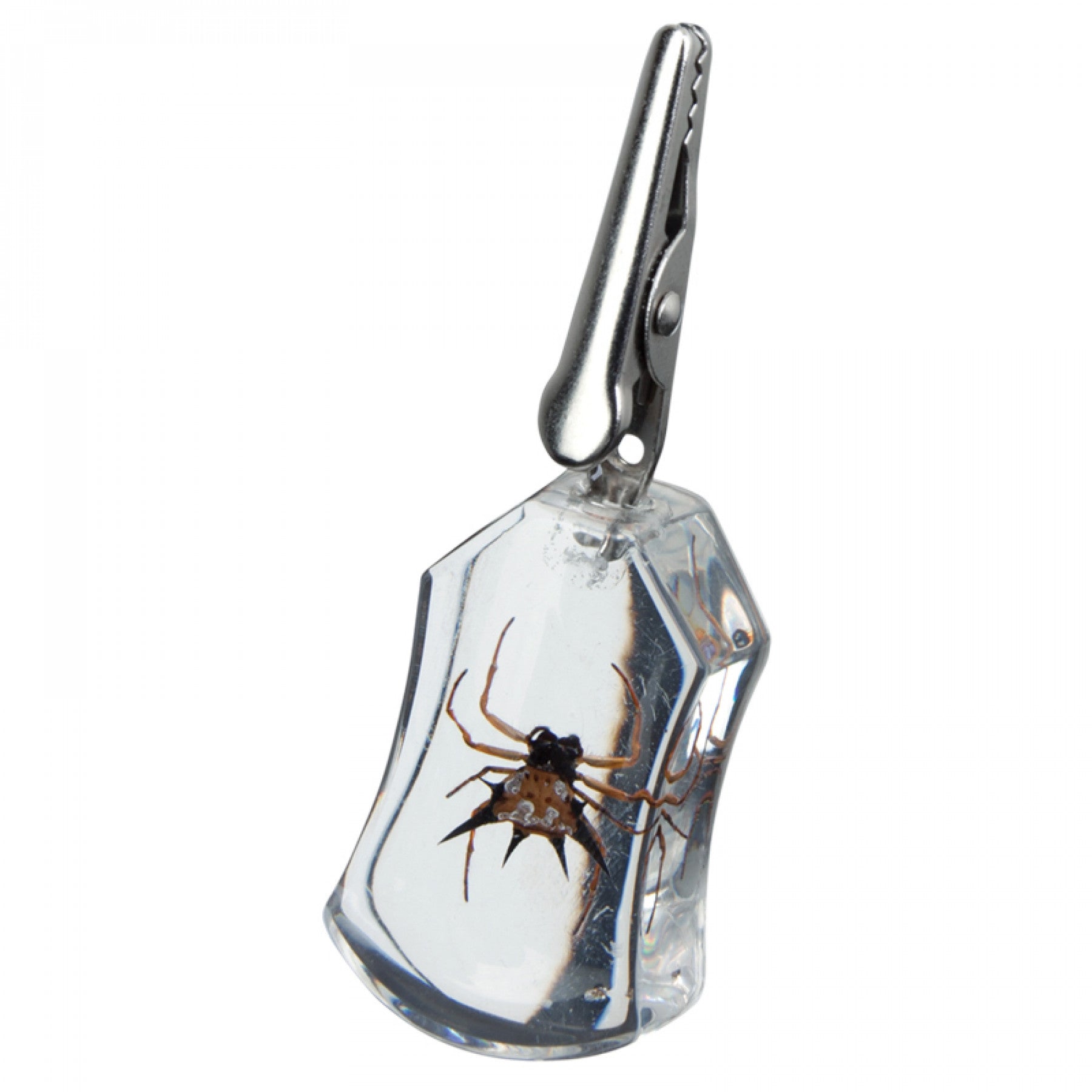 Roach Clip Spider - BC Smoke Shop